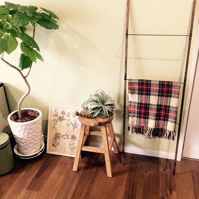 お部屋をワンランクアップ☆セリアのアイアングッズ