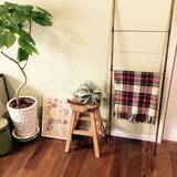 「お部屋をワンランクアップ☆セリアのアイアングッズ」の画像5