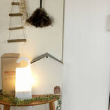 「お家がもっと快適になる♡ニトリ＆無印良品の優秀アイテム」の画像8