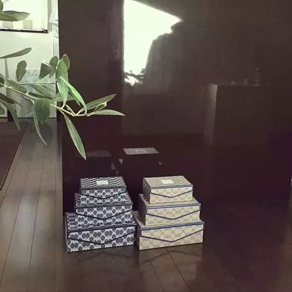 「プチプラとは思えない！二度見確実の高見え100均アイテム」の画像