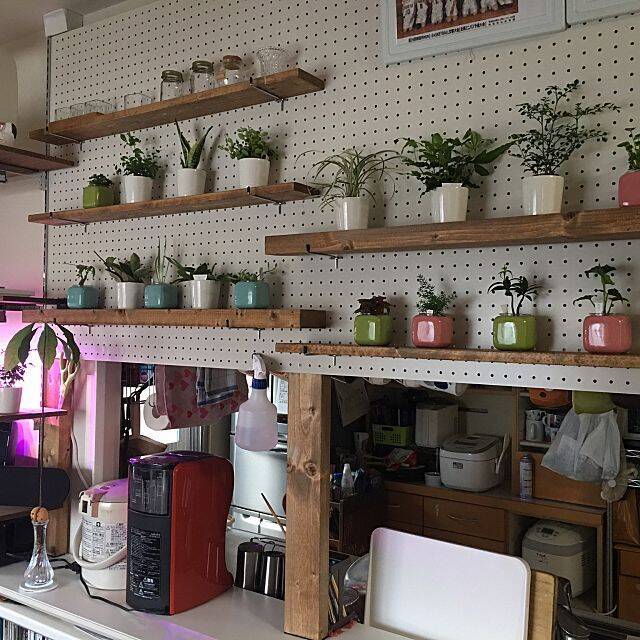 壁面に飾る☆ペグボードを使ったコレクションディスプレイ