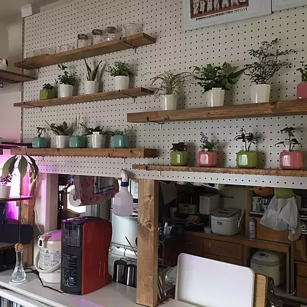 「壁面に飾る☆ペグボードを使ったコレクションディスプレイ」の画像