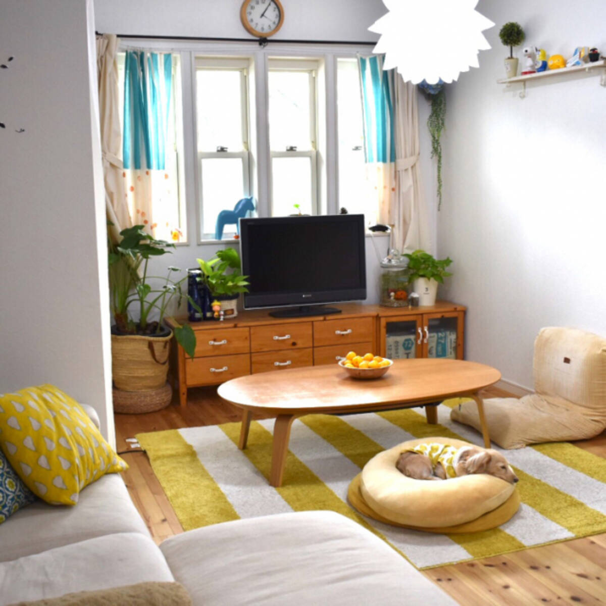 極上の抱き心地にうっとり ニトリのもちもちクッション 19年4月23日 エキサイトニュース