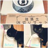 「水まわりの頼れるパートナー♡ダイソーの珪藻土アイテム」の画像8