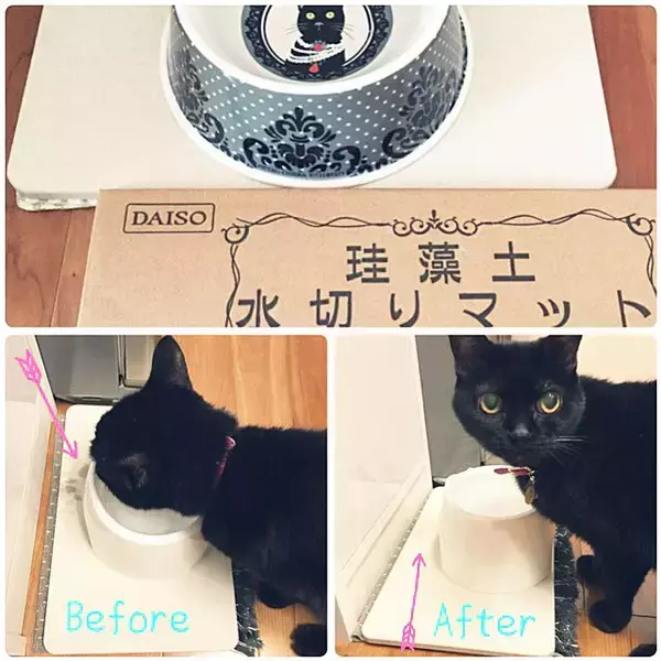 「水まわりの頼れるパートナー♡ダイソーの珪藻土アイテム」の画像