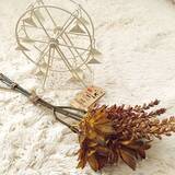 「こころがときめくディスプレイ☆ダイソーのインテリア雑貨」の画像6