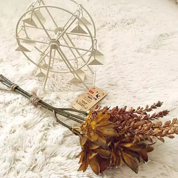 「こころがときめくディスプレイ☆ダイソーのインテリア雑貨」の画像