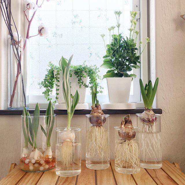 フラワーベースに夢中♡お花も喜ぶ私のお気に入りはコレ