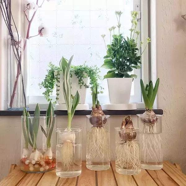 「フラワーベースに夢中♡お花も喜ぶ私のお気に入りはコレ」の画像