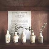 「フラワーベースに夢中♡お花も喜ぶ私のお気に入りはコレ」の画像1