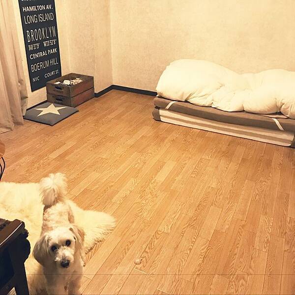 ミニマリストになれる ベッドのない暮らしのポイント集 19年10月18日 エキサイトニュース