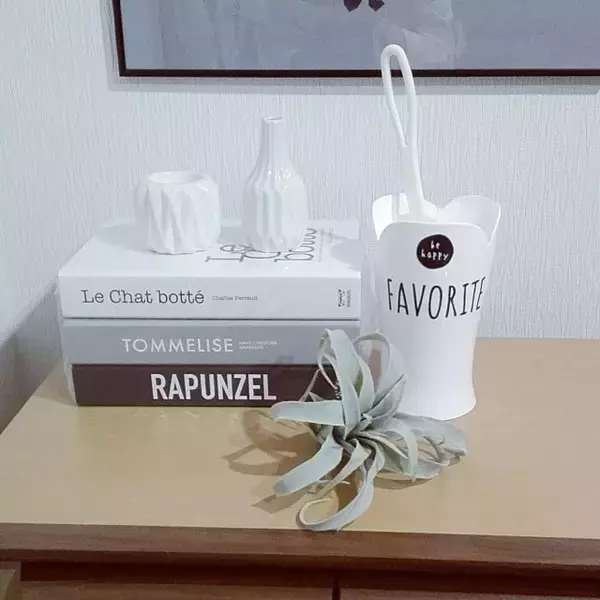 「こういうのが便利！100均アイテムを活用した掃除道具収納」の画像