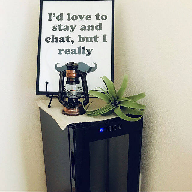 物足りない空間をセンスアップ♡ニトリのフェイクグリーン