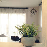 「物足りない空間をセンスアップ♡ニトリのフェイクグリーン」の画像2