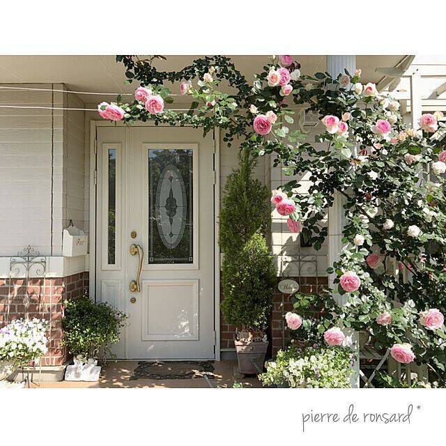 ここがお家の顔！ドレスアップした玄関ドアの実例集