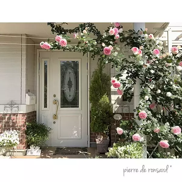 「ここがお家の顔！ドレスアップした玄関ドアの実例集」の画像