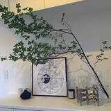 「真似したい♡洗練されたスカンジナビアンスタイルのお部屋」の画像11