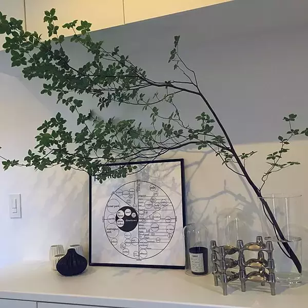 「真似したい♡洗練されたスカンジナビアンスタイルのお部屋」の画像