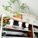 「使い方はいろいろ☆ぜひ買いたいセリアのペンダントライト」の画像1