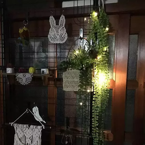 「使い方はいろいろ☆ぜひ買いたいセリアのペンダントライト」の画像