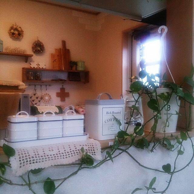 つい集めたくなる♡ニトリのキッチン&ダイニングツール