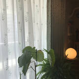 「雰囲気アップに♡ニトリのおすすめファブリック・アイテム」の画像1