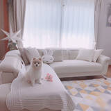 「快適空間はニトリで作る♡暮らしを豊かにしてくれるソファ」の画像1