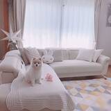 「快適空間はニトリで作る♡暮らしを豊かにしてくれるソファ」の画像11