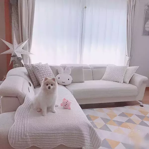 「快適空間はニトリで作る♡暮らしを豊かにしてくれるソファ」の画像