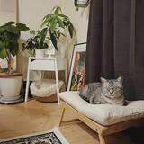 「もっと楽しく豊かに♪ペットライフに役立つIKEAアイテム」の画像4