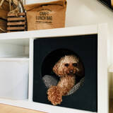 「もっと楽しく豊かに♪ペットライフに役立つIKEAアイテム」の画像1