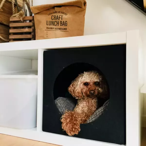 「もっと楽しく豊かに♪ペットライフに役立つIKEAアイテム」の画像