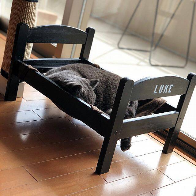 もっと楽しく豊かに♪ペットライフに役立つIKEAアイテム