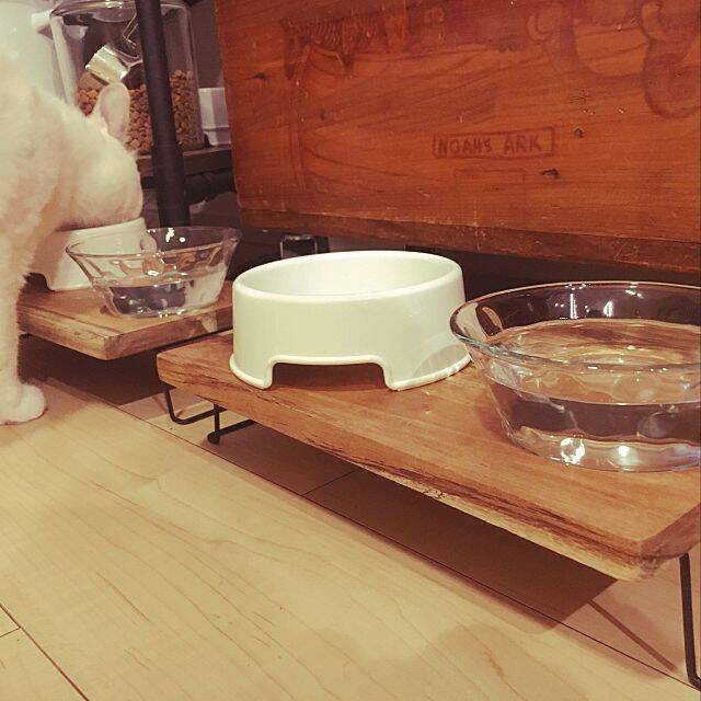 もっと楽しく豊かに♪ペットライフに役立つIKEAアイテム