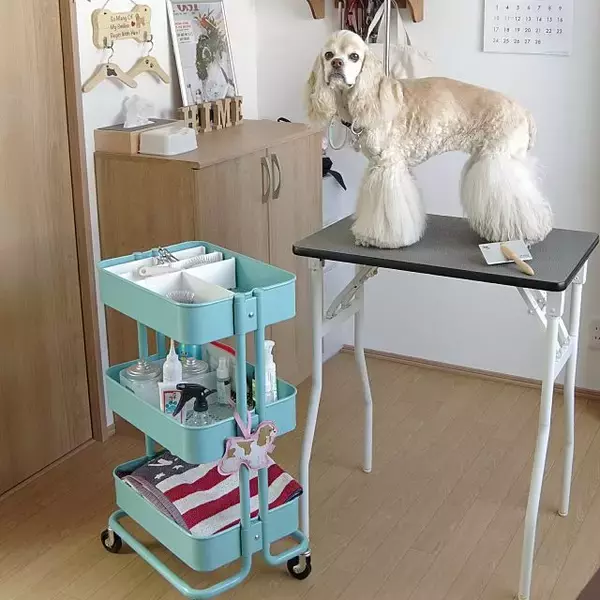 「もっと楽しく豊かに♪ペットライフに役立つIKEAアイテム」の画像