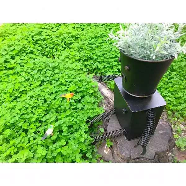 「華やかなお庭に変身！ニトリのおすすめガーデンアイテム」の画像