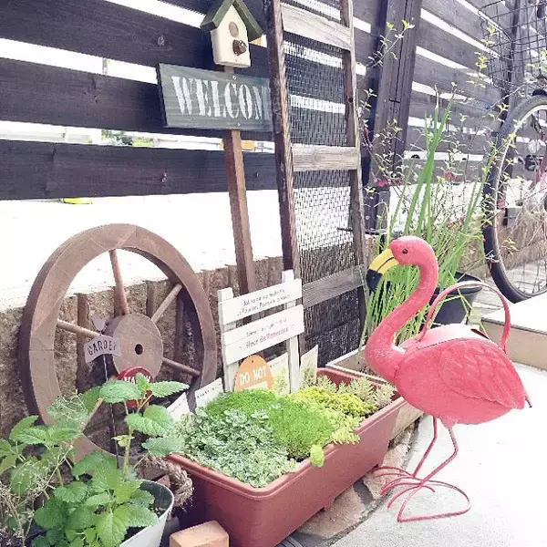 「華やかなお庭に変身！ニトリのおすすめガーデンアイテム」の画像