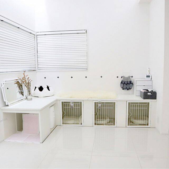 お部屋の雰囲気はそのまま 愛犬とインテリアを楽しむ生活 19年11月18日 エキサイトニュース 3 3