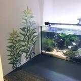 「貼るだけで簡単に模様替え♪ニトリのウォールステッカー」の画像11