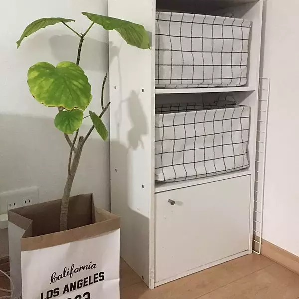 「ダイソーのグラフチェック☆クールでモダンなインテリアに」の画像