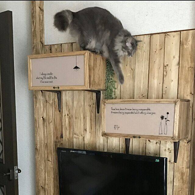 簡単に、かわいく♡セリアのステッカーでお部屋アレンジ