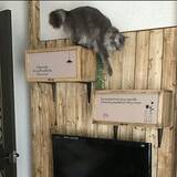 「簡単に、かわいく♡セリアのステッカーでお部屋アレンジ」の画像10