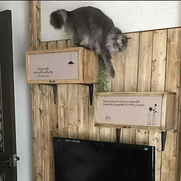 「簡単に、かわいく♡セリアのステッカーでお部屋アレンジ」の画像