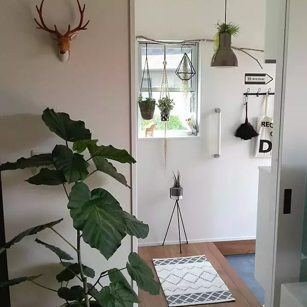 「玄関ディスプレイはこうやる！印象アップのアイデア紹介」の画像