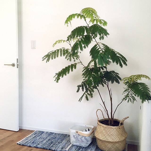 色んなシーンに使えて便利☆イケアのシーグラスバスケット