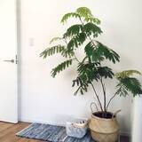 「色んなシーンに使えて便利☆イケアのシーグラスバスケット」の画像5