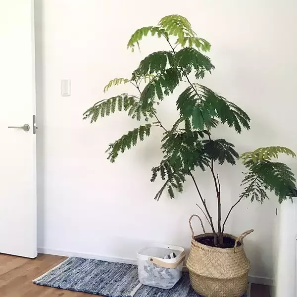 「色んなシーンに使えて便利☆イケアのシーグラスバスケット」の画像