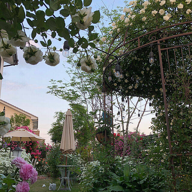 自然を肌で感じて ベランダやガーデンを10倍楽しむヒント 年4月29日 エキサイトニュース