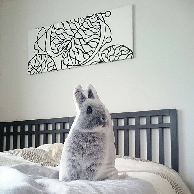 プチ模様替えの救世主 ニトリのクッション カバー 19年11月6日 エキサイトニュース 3 4