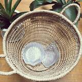 「行くたびに欲しいが見つかる！ダイソーの魅力的なお皿たち」の画像9